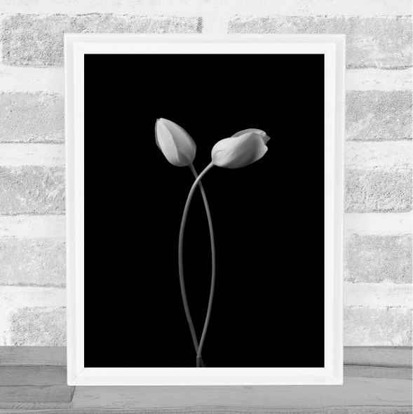 Hug Flower Tulip Tulips L Flowers Embrace Wall Art Print