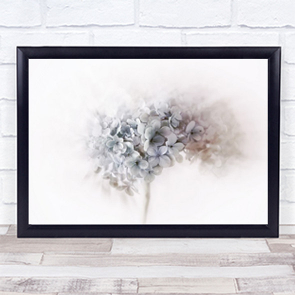 Hydrangea White Bright Flower Flowers Wall Art Print