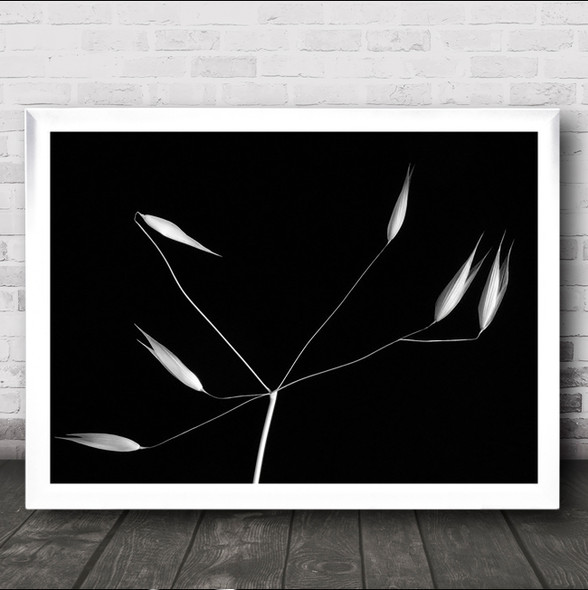 Light Simplicity Abstract Graphic Seeds Seed Zen Simple Wall Art Print