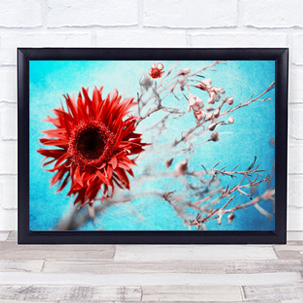 Marigold Red Flower Texture Flowers L Bloom Wall Art Print