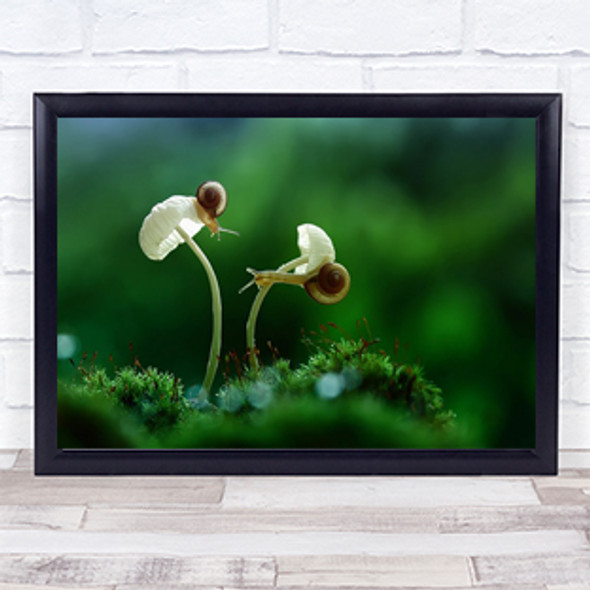 Move On Snail Snails Fungus Borneo Mushroom Green Duo Couple Wall Art Print