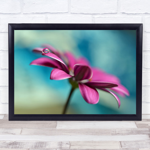 Pattern Drop Garden Flower Pearl Droplet Water Bokeh Wall Art Print