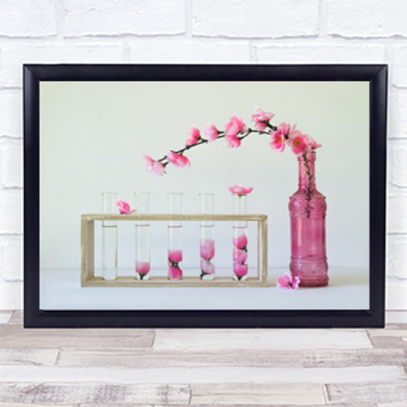 Petal Collecting Pink Orchid Petals Tubes Zen Flower Flowers Vase Wall Art Print