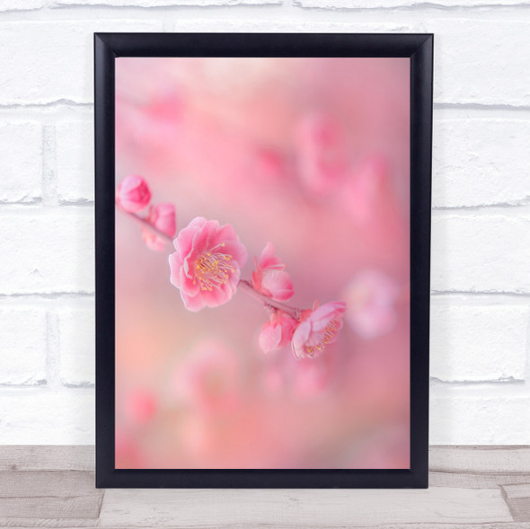 Pink Flower Flowers Cheery Blossom Bloom Bokeh Wall Art Print