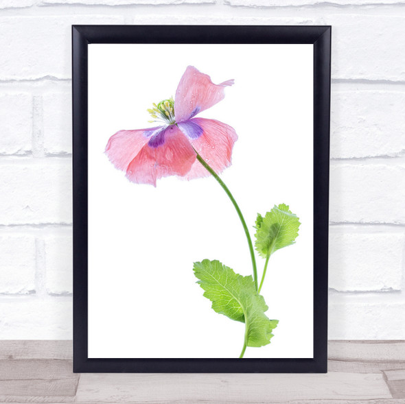 Poppy Paper Flower l Pink Wall Art Print