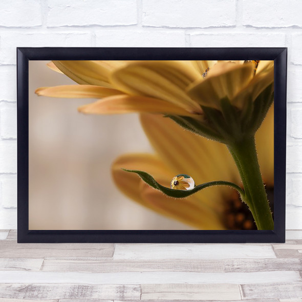 Protected Flower L Water Drop Drops Droplet Reflection Wall Art Print