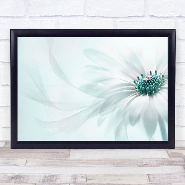 Purity Teal Flower Bloom L Cape daisy Close Up Wall Art Print
