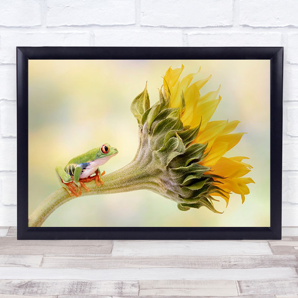 Red Eyed Tree Frog on a Sunflower Flower Amphibian Little Animal Wall Art Print