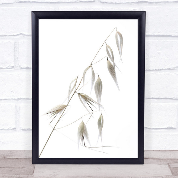 Reed Delicacy Weed Wall Art Print