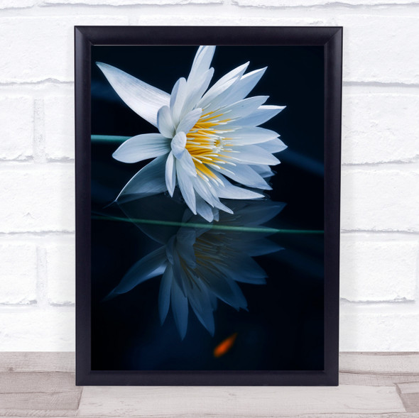 Reflecting World Waterlily Lily Zen Spa Reflection Flowers Wall Art Print