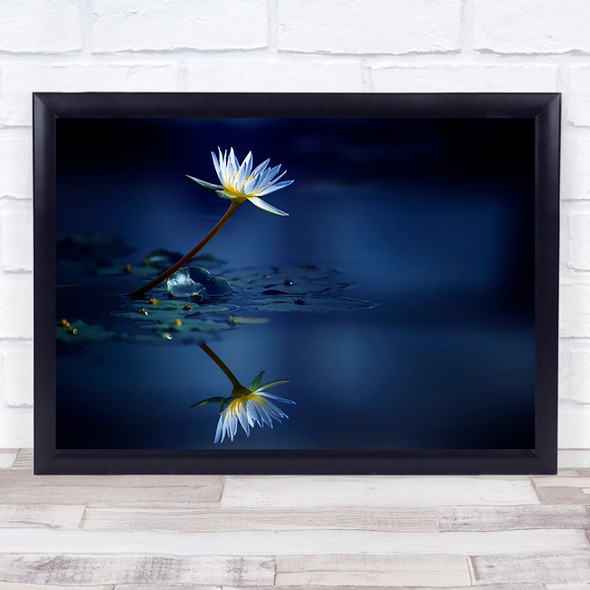 Reflection Flower Flowers Water Lily Lilies Blue Wall Art Print