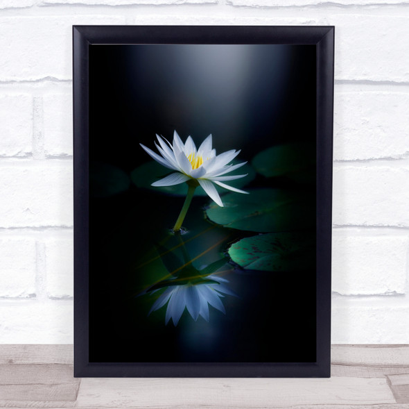 Reflection Water Lily Lilies Flower Bloom Wall Art Print