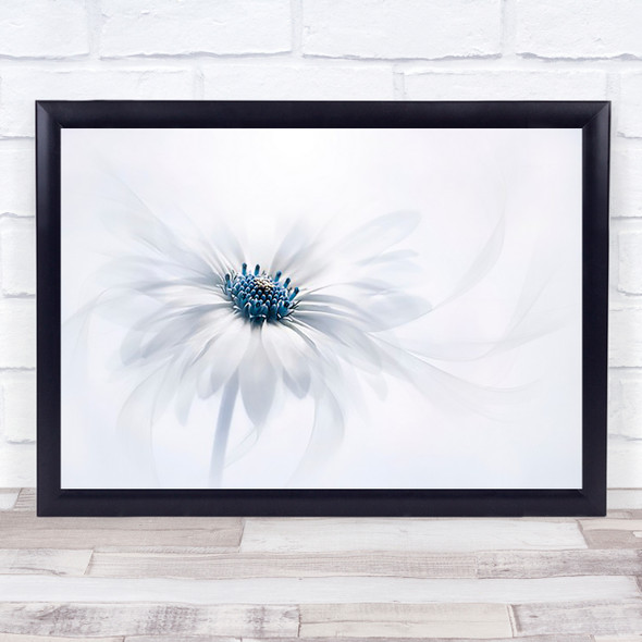 Serenity White Blue Flower Wall Art Print