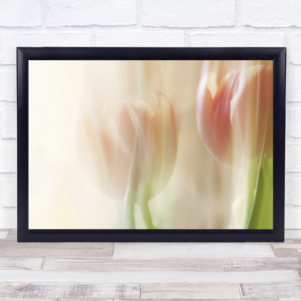 Shy Tulips Flower Tulip Pink Blur Blurry Soft Gentle Wall Art Print