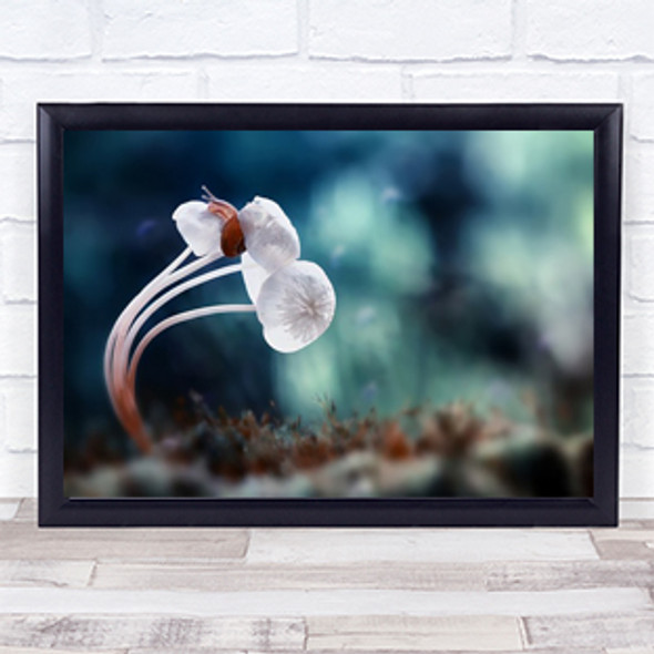 Snail Mushrooms Bokeh Mushroom Wall Art Print