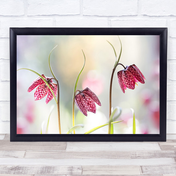 Snakes head Fritillary l Wildflower Flower Fresh Chequered Red Spring Art Print