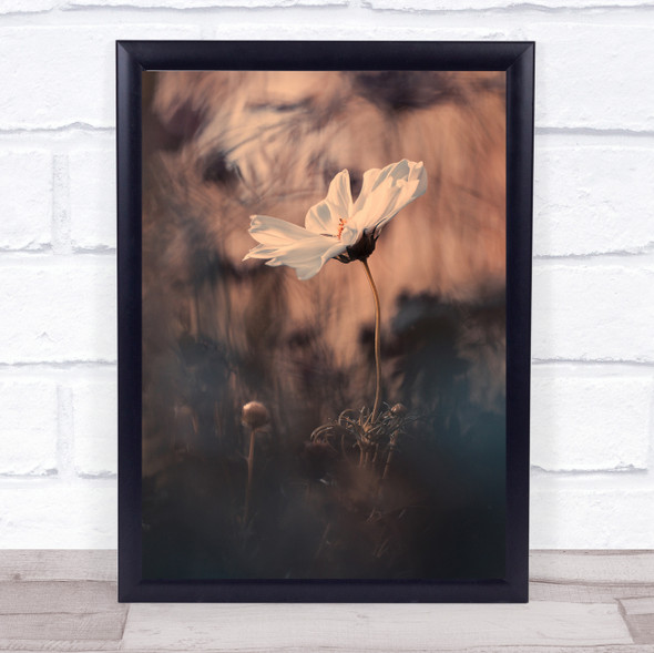 The Bride Bokeh Flower Flowers L Botanical Beige Wall Art Print