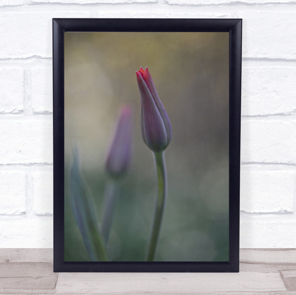 Tiny Purple Flowers Sprouting Wall Art Print