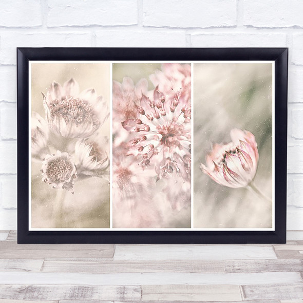 Triptych Flower Faded Pastel Colour Colours Pink Wall Art Print