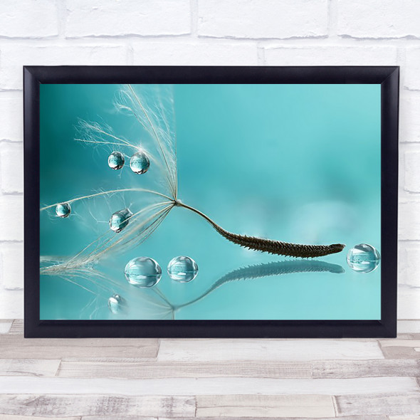 Water Dandelion Seed Reflection Downy Tuft Drop Drops Teal Wall Art Print