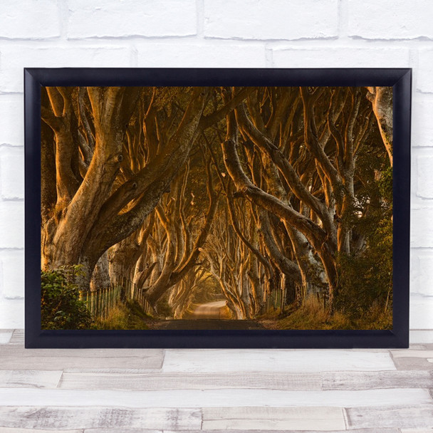 Early Morning Dark Hedges Antrim Brown Autumn Colours Avenue Armoy Art Print