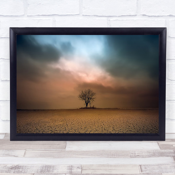 A Loner Tree Lonely Poland Barren Wasteland Alone Wall Art Print