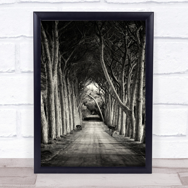 Alley Road Way Destination Path Trees Journey Deer Wall Art Print