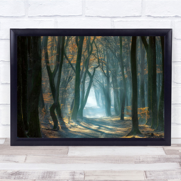 Cold Light Autumn Speulderbos Forest Mist Sunlight Path Woodland Wall Art Print