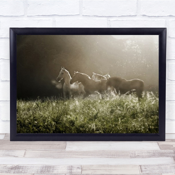 Yesterday Morning Wildlife Animal Nature Wild Horse Horses Group Wall Art Print