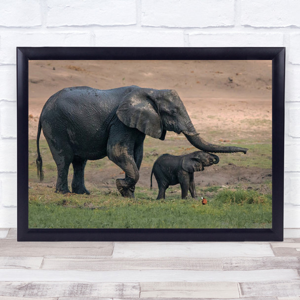 Boy, Let's Go To The River Elephant Africa Baby National Chobe Wall Art Print