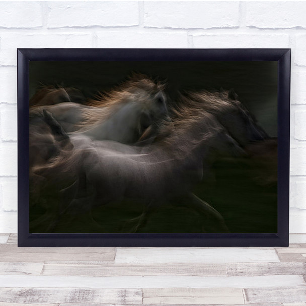 Esata Equina Horse Horses B&W Dark Low Key Low-Key Blur Blurry Wall Art Print