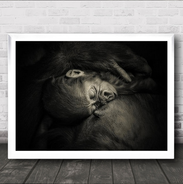 Mother's Hug New-born Dreaming Gorilla Gorillas Animal Animals Wall Art Print