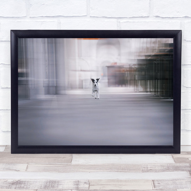 Everything In Life Is Elusive Dogs City Urban Animals Dog Pet Wall Art Print