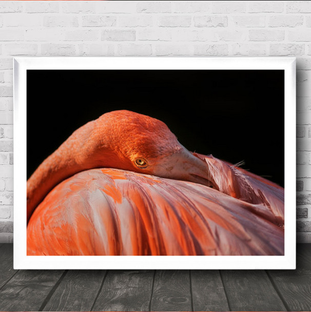 I Can See You Flamingo Flamingos Animal Animals Red Pink Bird Wall Art Print