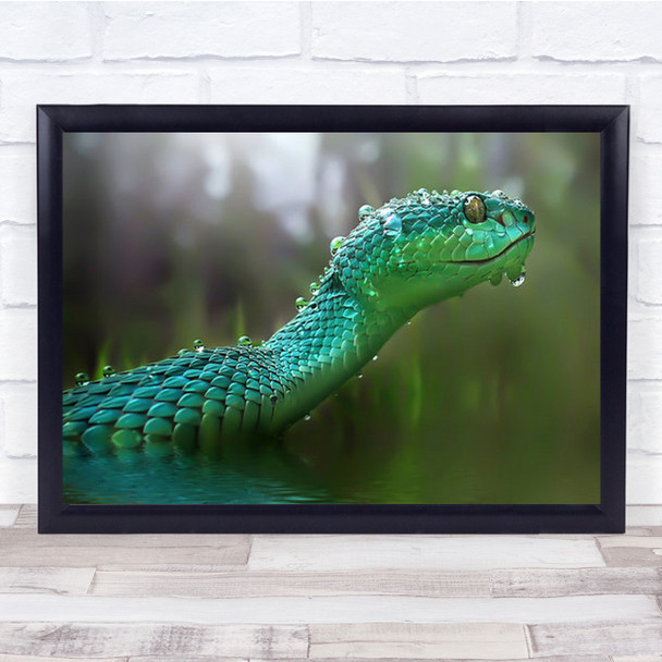 The Viper Green Snake Animal Animals Water Wet Drops Droplets Wall Art Print