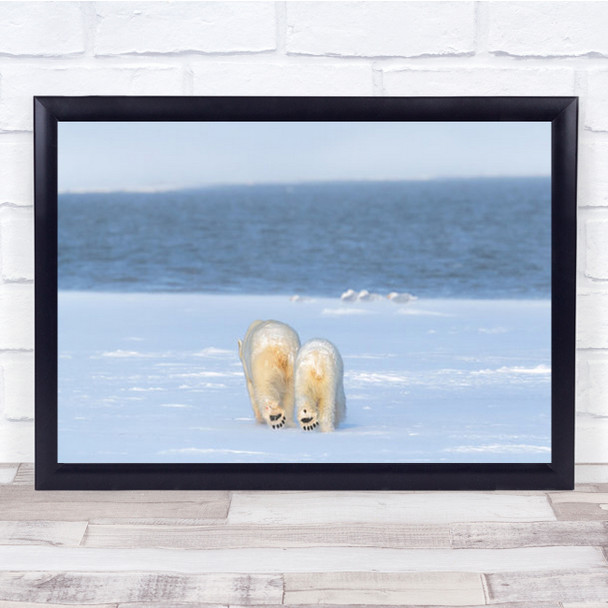 Tomorrow Will Be Better Polar Bears Walking Into The Distance Wall Art Print