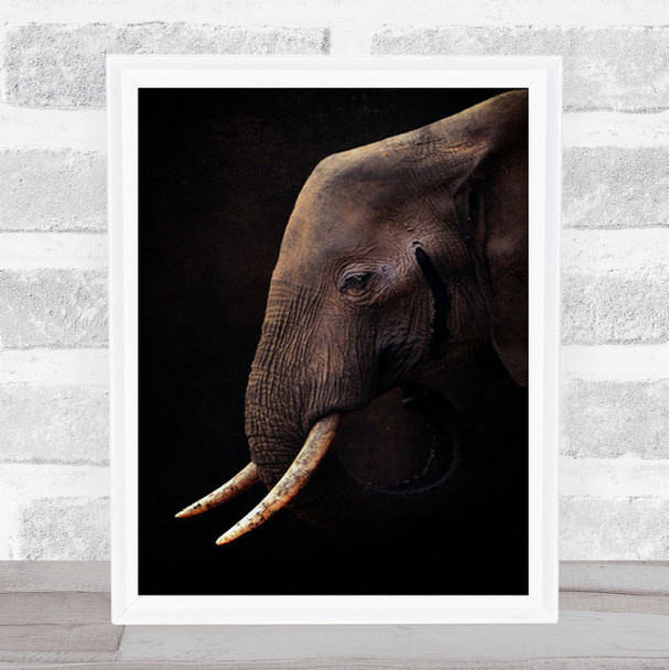 Elephant Elephants Tusk Tusks Wise Wisdom Animal Animals Eye Wall Art Print