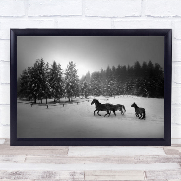 Horse Horses Trees B&W Snow Winter Cold Frost Frozen Paddock Wall Art Print