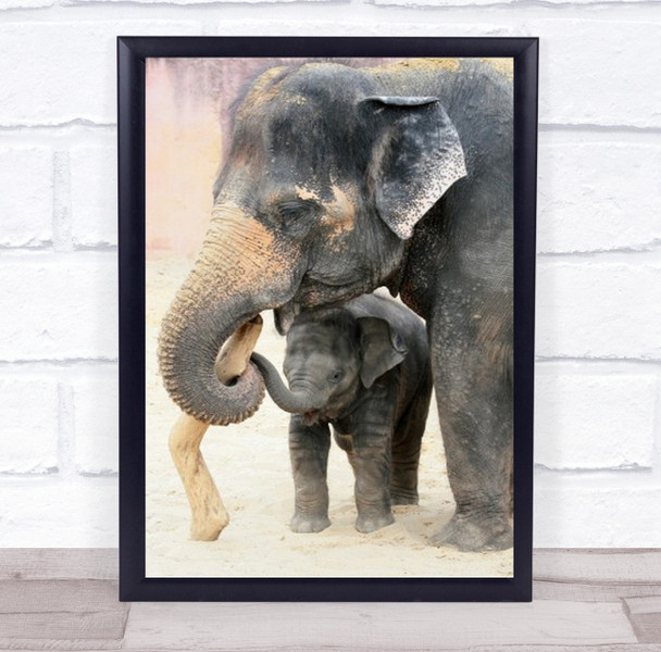 Two Elephant Zoo Animals Young Baby Cub Elephants Cute Small Wall Art Print