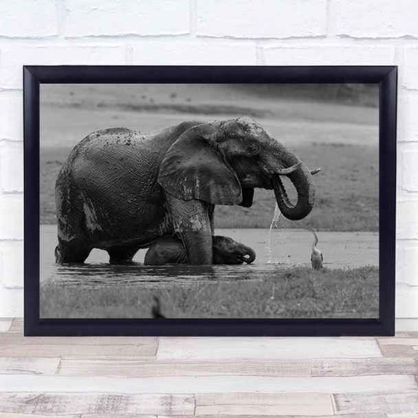 Do As What Mom Does Little Elephant Drinking Crossing River Wall Art Print