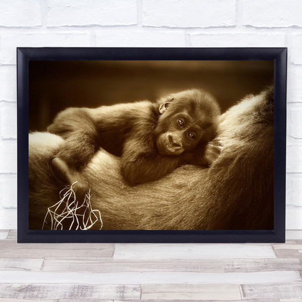 The Golden Side Of Life Gorilla Baby Protected Mother child Wall Art Print