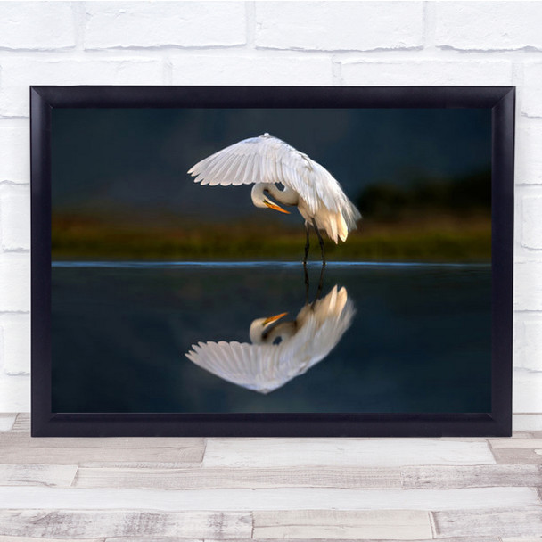 Egret At Dusk Wild Wildlife Bird Zimanga Africa Reflection Wall Art Print