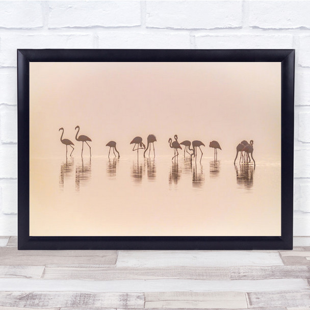 Flamingos In The Mist Flamingo Wild Wildlife Nature Animal Wall Art Print