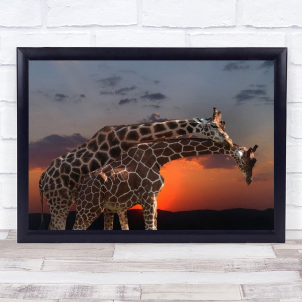 In Love Animal Giraffe Sun Sunset Red Zoo Fauna Sky Clouds Wall Art Print