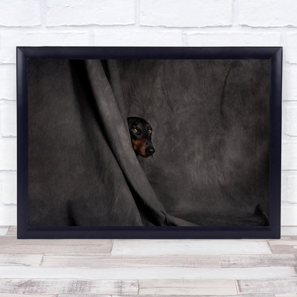 Like A Thief In The Night Studio Peaking Dog Portrait Dogs Wall Art Print