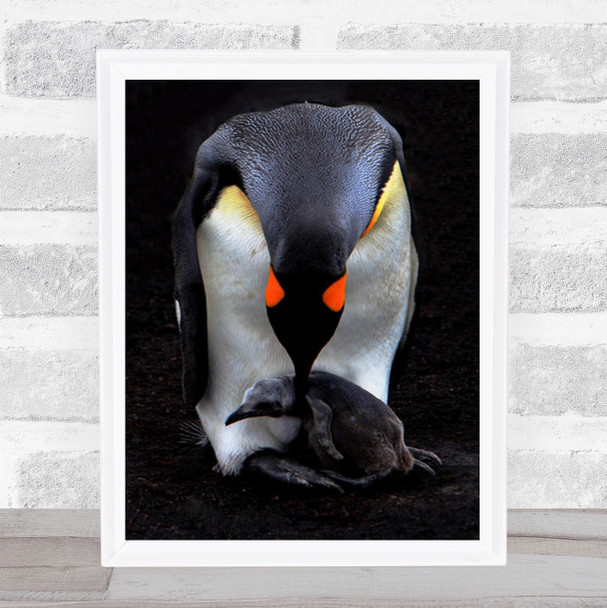 Mother And Baby King Penguin Birthing Volunteer Point East Wall Art Print