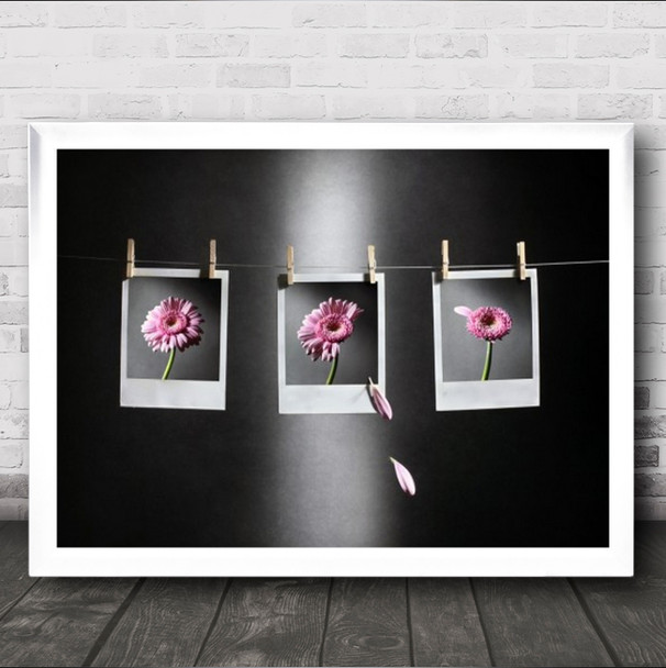 September Is Here Flower Petals Pink Photographs Photo Dry Wall Art Print