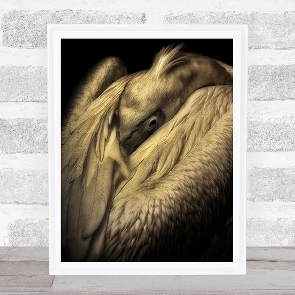 Shy Animal Animals Bird Birds Hide Hiding Vignette Feather Wall Art Print