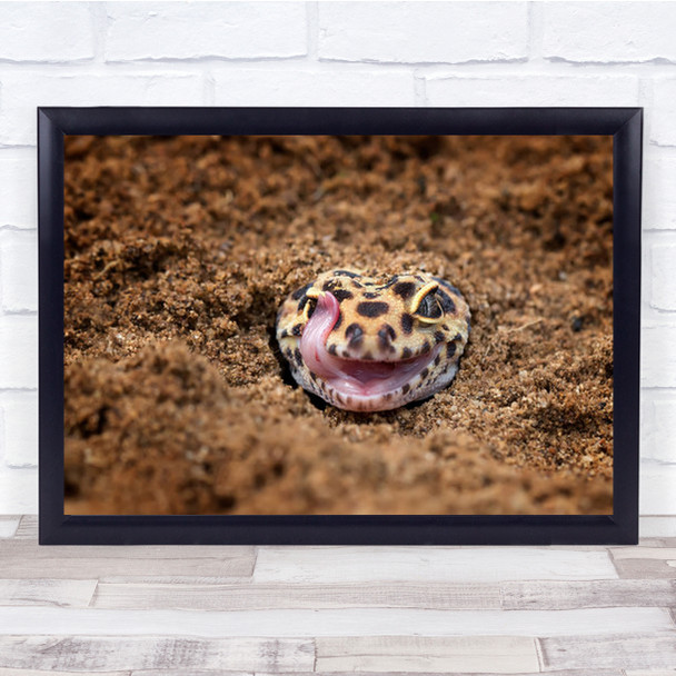 The Face Macro Lizard Gecko Sand Close-Up Reptile Reptiles Wall Art Print