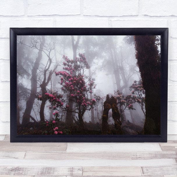 Through The Fog Flower Flowers Forest Landscape Wildflower Wall Art Print